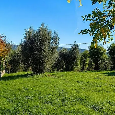 Casa Girasole * Cantone